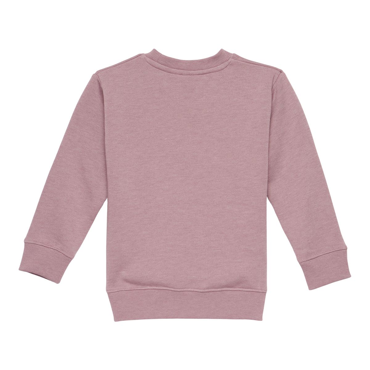 Tentree Toddler Kids' 18M-5T Treefleece Sweatshirt