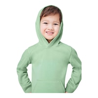 FWD Toddler Boys' 2-6 All Year Pullover Hoodie Front_Flat