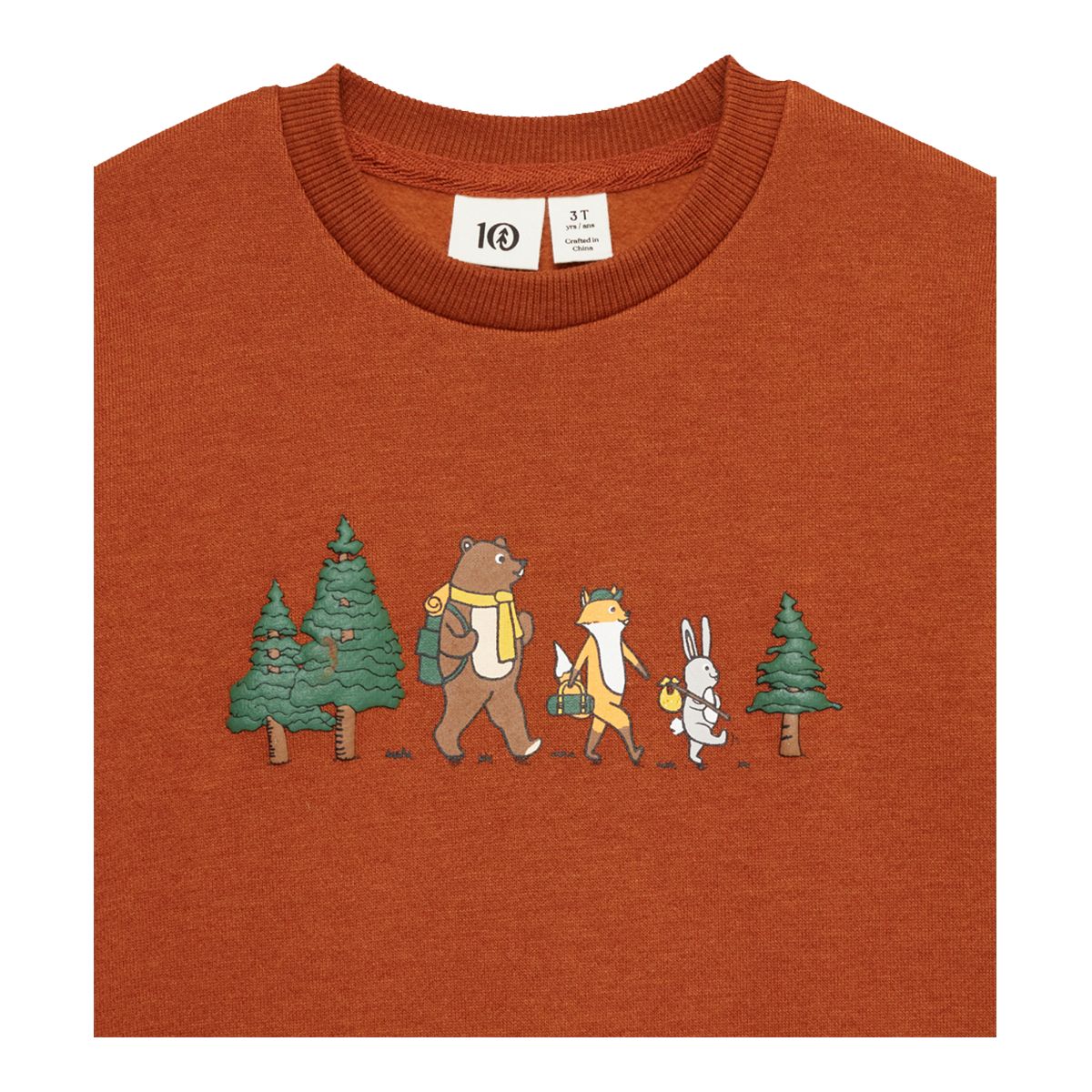 Tentree Kids' Super-Soft Graphic Sweatshirt