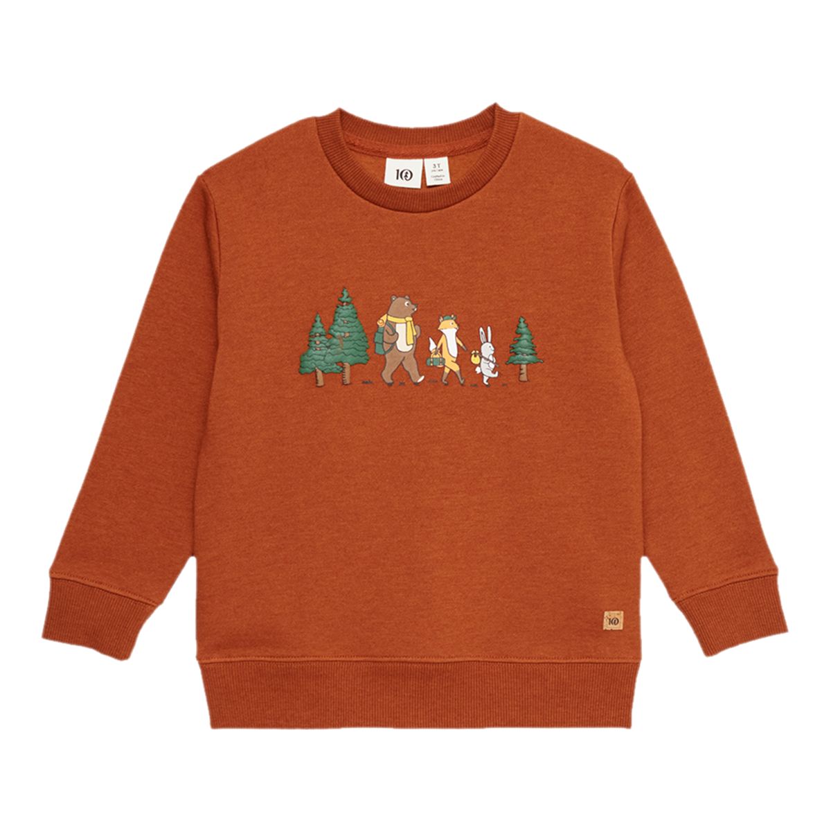 Tentree Kids' Super-Soft Graphic Sweatshirt