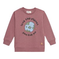 Tentree Toddler's Organic Cotton Sweatshirt Front_Flat