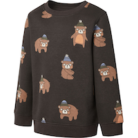 Ripzone Toddler Boys' Cariboo Fleece Sweatshirt Front_Angled_Left
