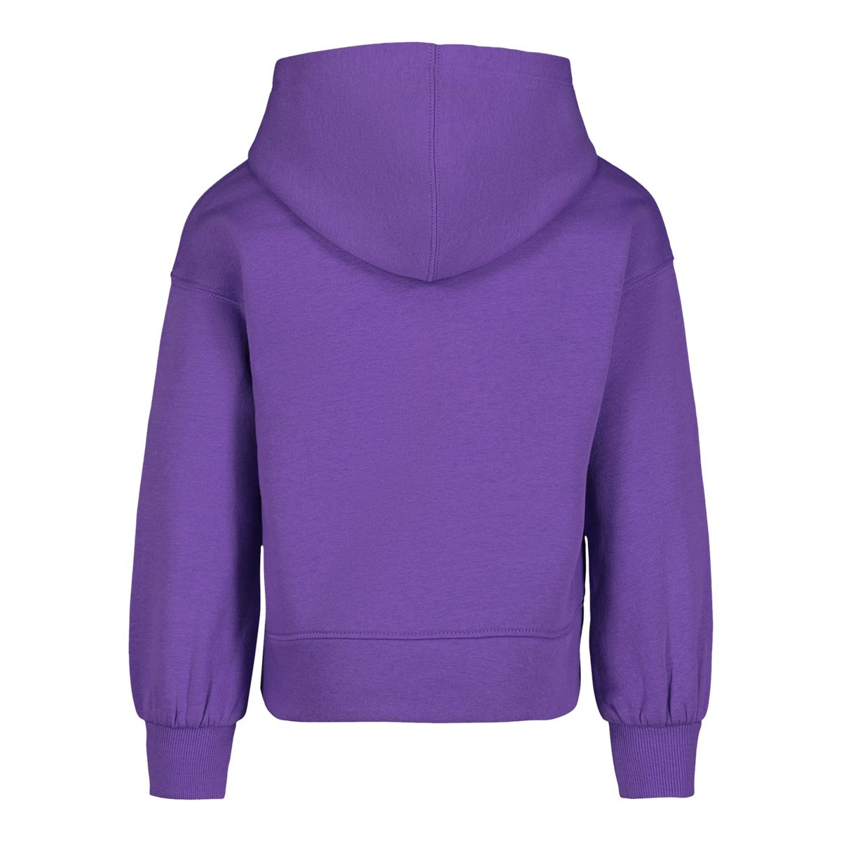 Under Armour Toddler Girls' 2-4 Rival Big Logo Hoodie