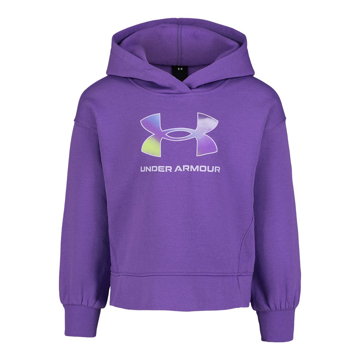 Under Armour Toddler Girls' 2-4 Rival Big Logo Hoodie