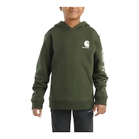 Carhartt Toddler Boys' 4-7 Graphic Pullover Hoodie Front_Flat