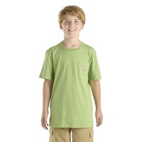 Carhartt Toddler Kids' Pocket Short Sleeve T-Shirt