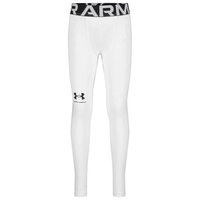 Under Armour Toddler Kids' 4-7 Coldgear© Armour Leggings
