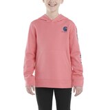 Carhartt Toddler Kids' Graphic Sweatshirt Front_Flat