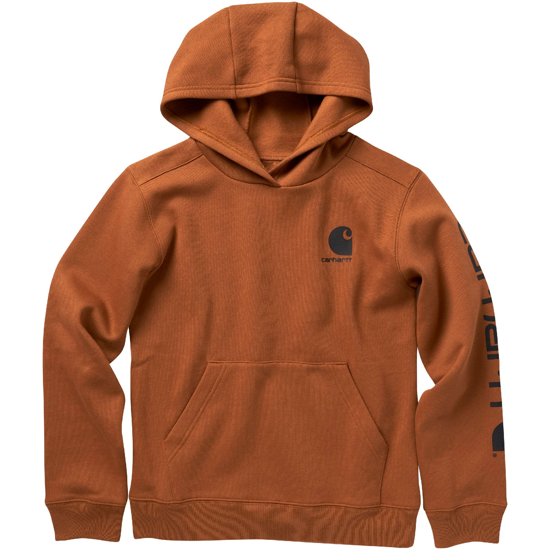 Carhartt Youth Unisex Logo Graphic Hoodie Sweatshirt