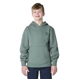 Carhartt Toddler Kids' Logo Pullover Hoodie