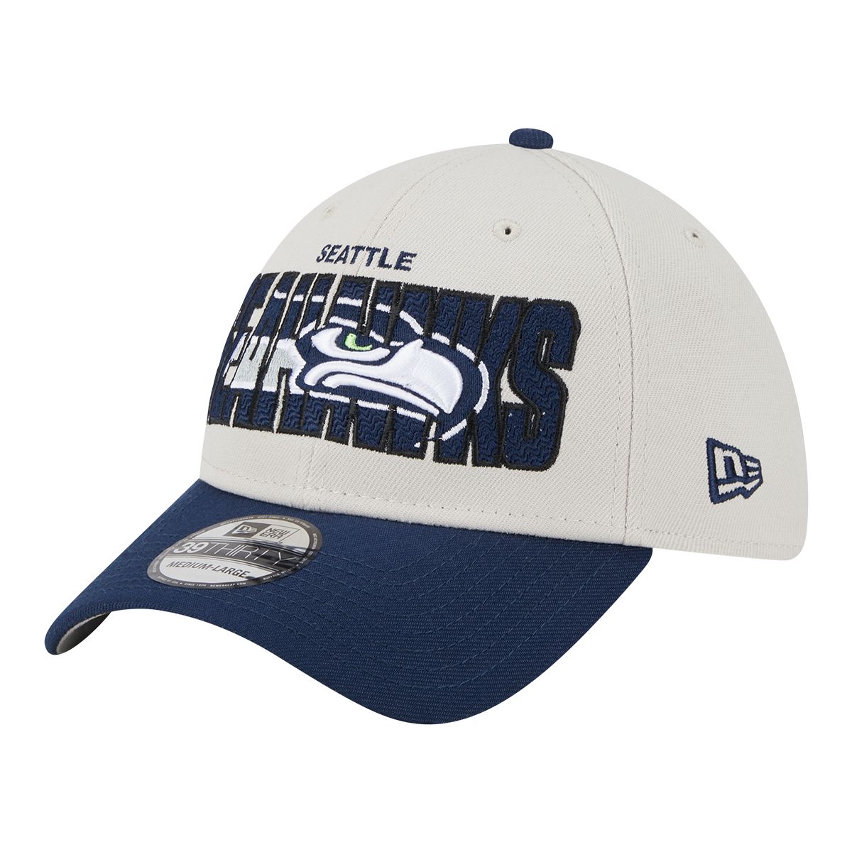 Seattle Seahawks NFL Wordmark Light Up Printed Beanie