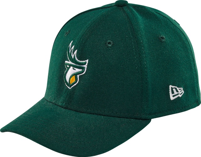 Youth Edmonton Elks New Era 39THIRTY Logo Cap