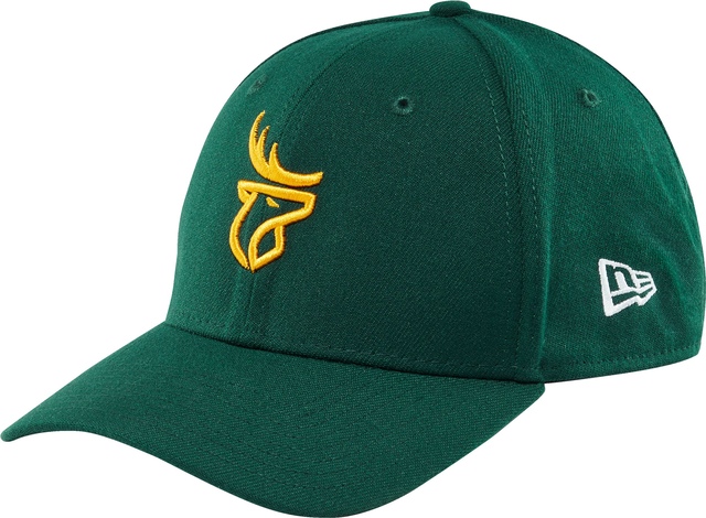 Edmonton Elks New Era 39THIRTY Logo Cap