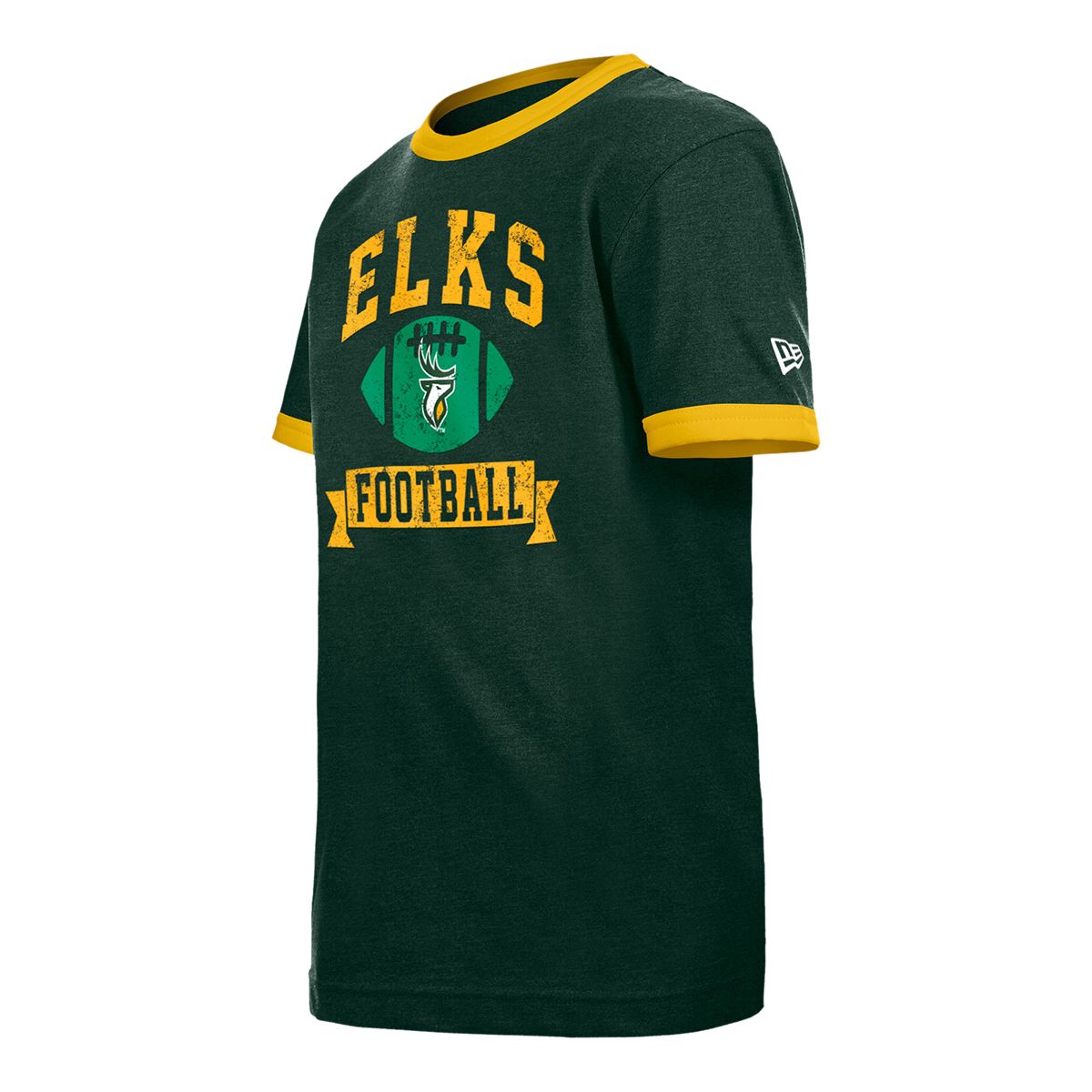 New era NBA Boston Celtics Block Wordmark Short Sleeve T-Shirt Green