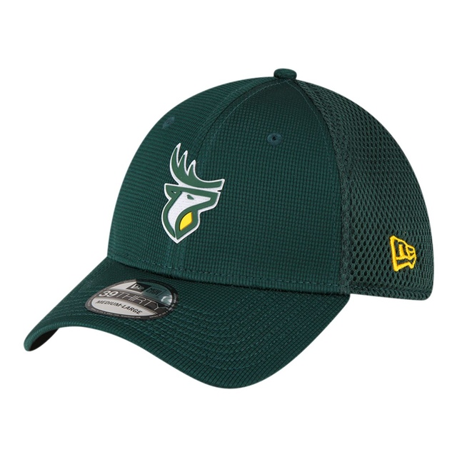 Edmonton Elks New Era 39THIRTY Sideline Cap