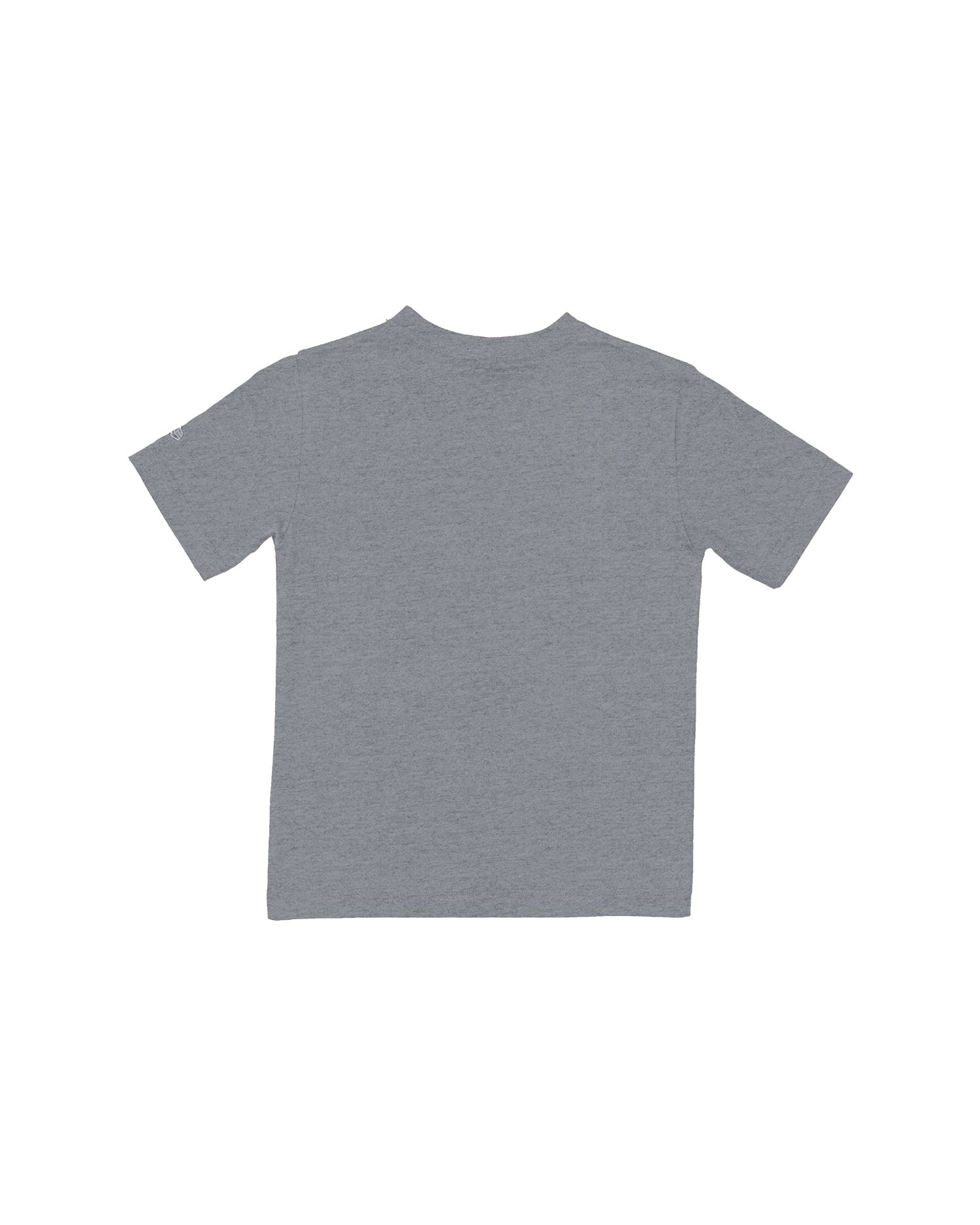 Youth Saskatchewan Roughriders New Era 2025 GC Locker Room T-Shirt