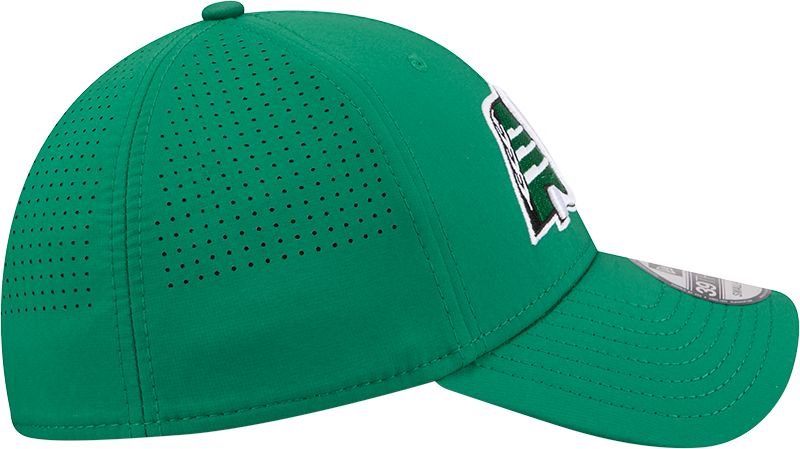 Saskatchewan Roughriders New Era Unisex 39THIRTY Sideline Cap