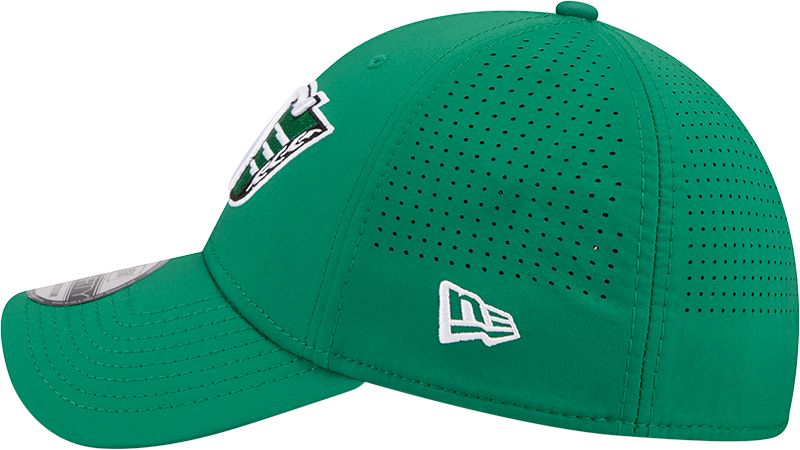 Saskatchewan Roughriders New Era Unisex 39THIRTY Sideline Cap