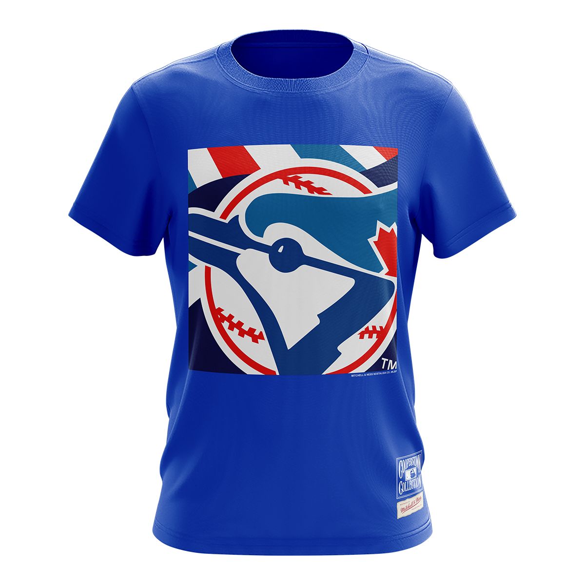 Mitchell & Ness Blue Jays City Collection T-shirt / Grey