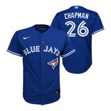 Nike Youth Toronto Blue Jays Matt Chapman Replica Lightweight Breathable Baseball Jersey Composite_or_Mixed