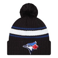 Toronto Blue Jays New Era Fold Knit Hat Front_Flat