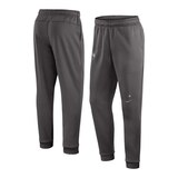 Toronto Blue Jays Nike Authentic Player Pants Composite_or_Mixed