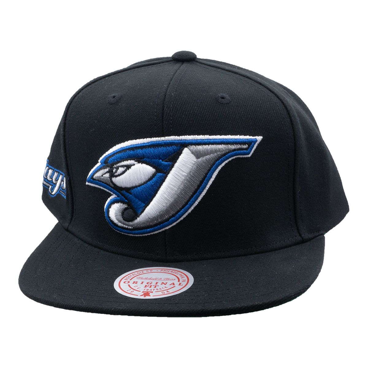 Toronto Blue Jays Mitchell & Ness Evergreen Coop Snapback Cap