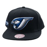 Toronto Blue Jays Mitchell & Ness Evergreen Coop Snapback Cap Front_Angled_Left