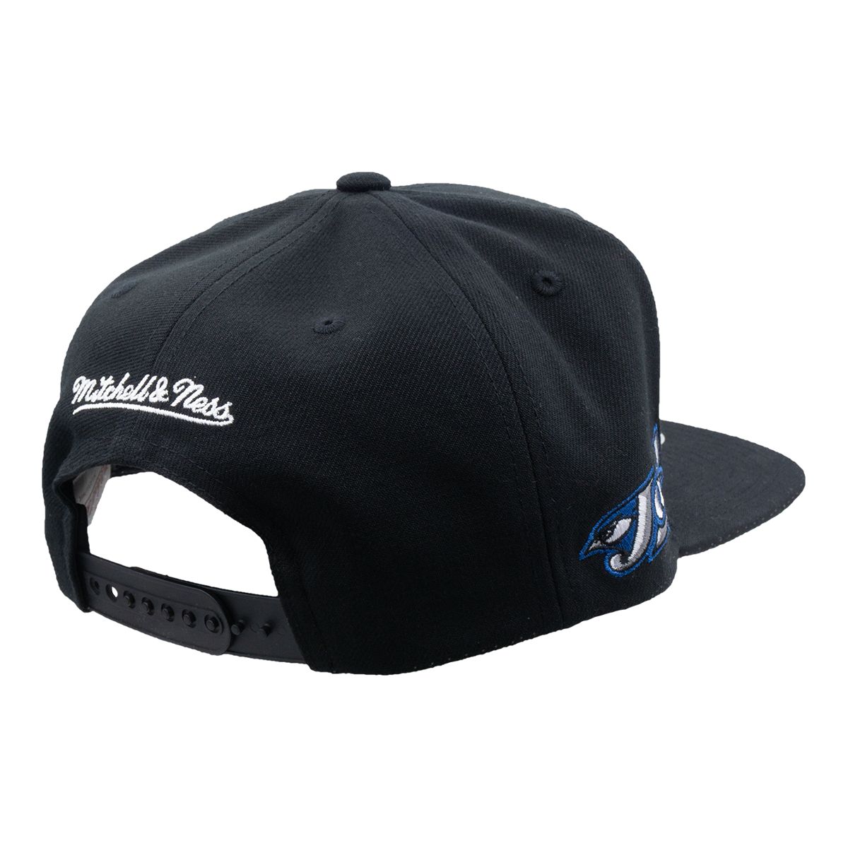Toronto Blue Jays Mitchell & Ness Evergreen Coop Snapback Cap