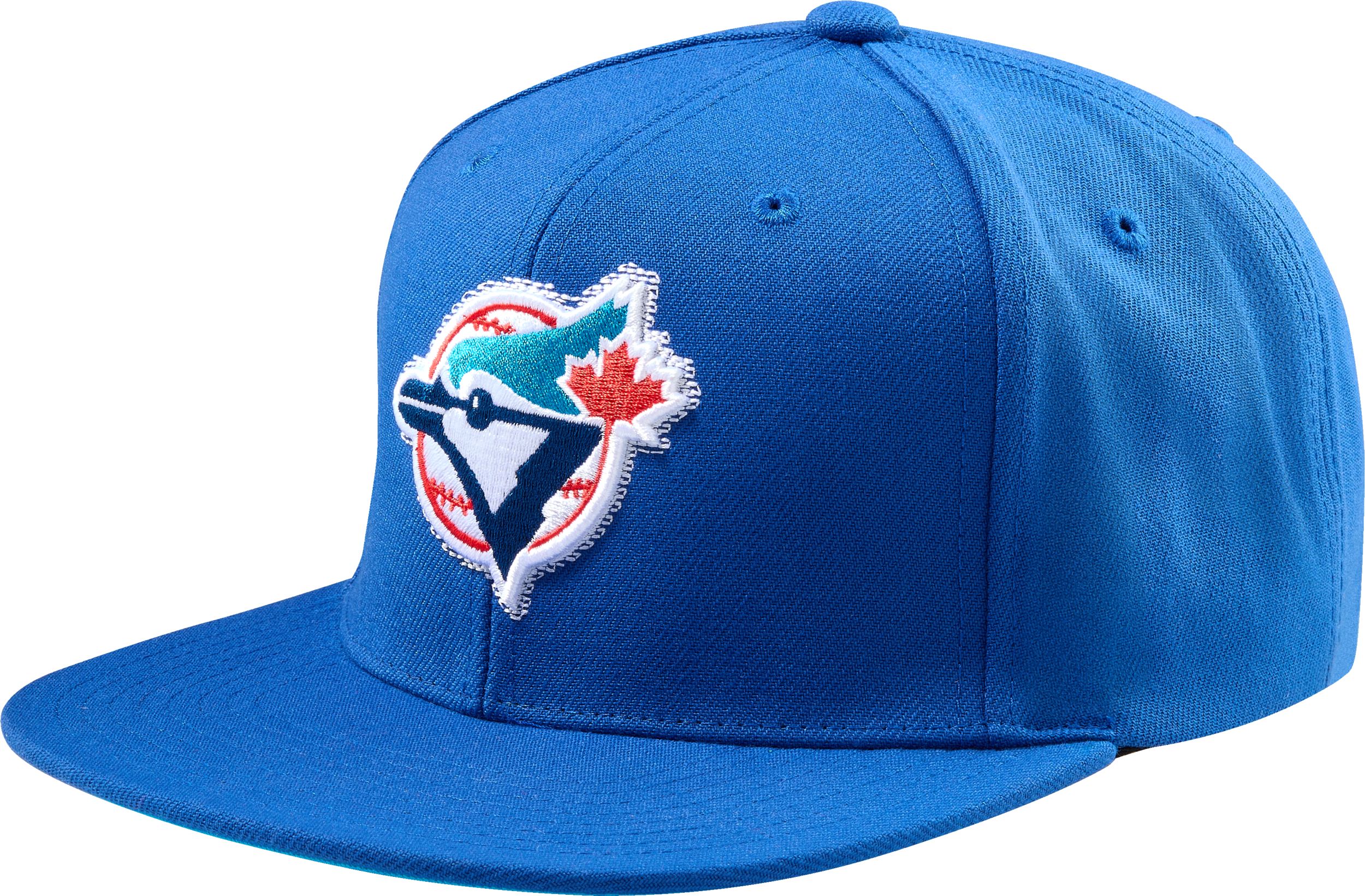 Toronto Blue Jays Mitchell & Ness Blurred Vision Coop Snapback Cap