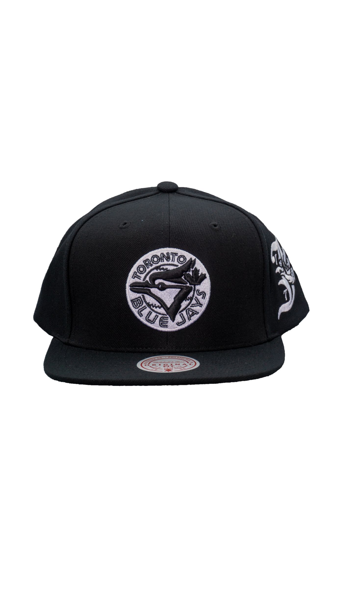Toronto Blue Jays Mitchell & Ness Darkness Logo Snapback Cap
