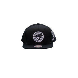 Toronto Blue Jays Mitchell & Ness Darkness Logo Snapback Cap