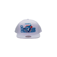Toronto Blue Jays Mitchell & Ness See Through Coop Snapback Cap Front_Flat