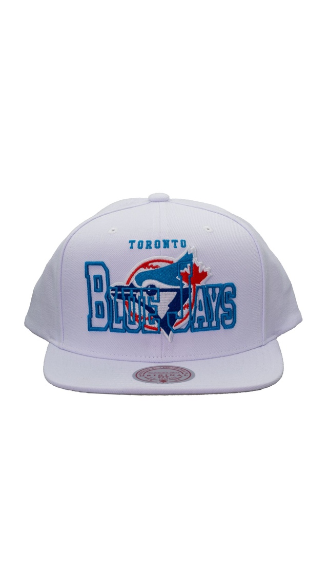 Toronto Blue Jays Mitchell & Ness See Through Coop Snapback Cap Front_Flat