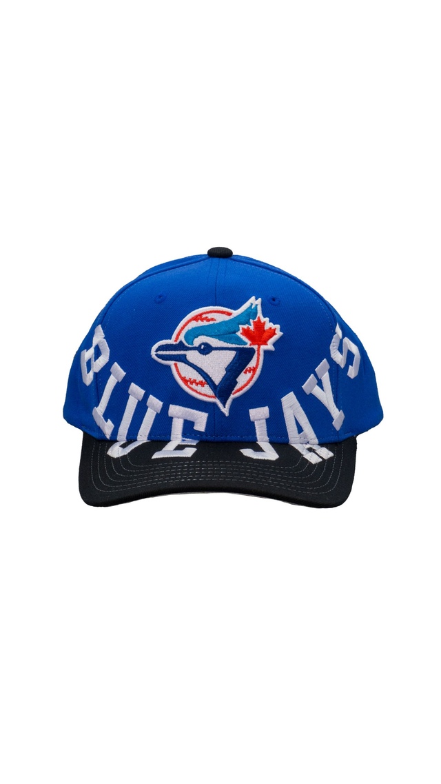 Toronto Blue Jays Mitchell & Ness Underarch Pro Coop Snapback Cap