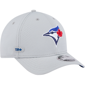 Toronto Blue Jays New Era Clubhouse 9FORTY Snapback Cap