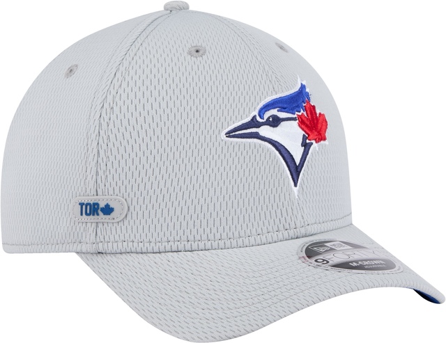 Toronto Blue Jays New Era Clubhouse 9FORTY Snapback Cap