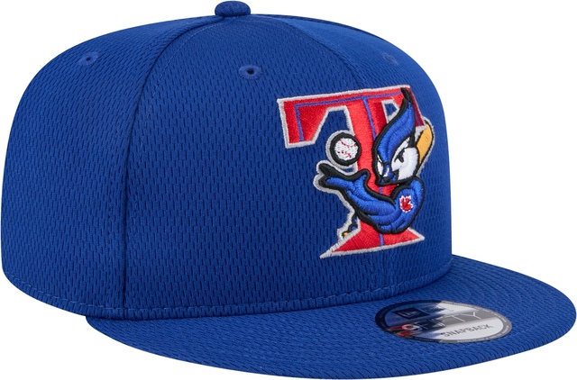 Toronto Blue Jays New Era Clubhouse 9FIFTY Alternate Cap