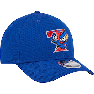 Toronto Blue Jays New Era Clubhouse 9FORTY ALT Cap