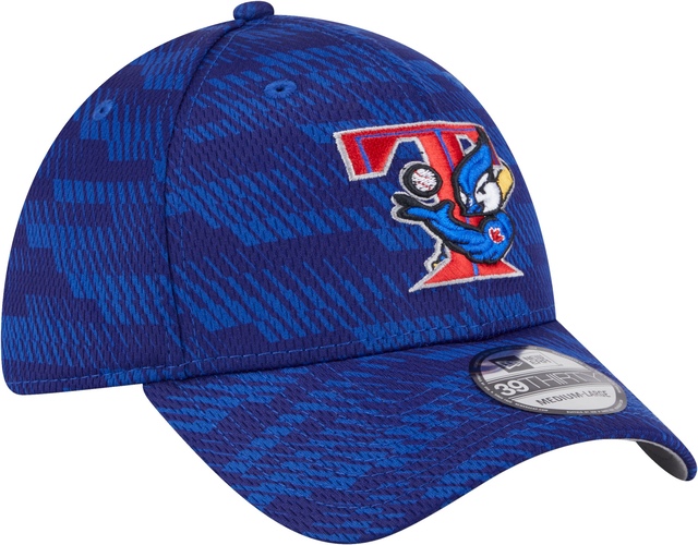 Toronto Blue Jays New Era Clubhouse 39THIRTY ALT Cap