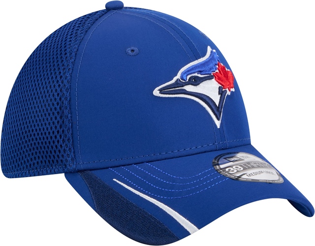 New Era Youth Toronto Blue Jays Linear 39THIRTY Cap