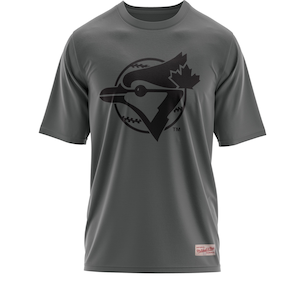 Toronto Blue Jays Mitchell & Ness More Space Boxy T-Shirt