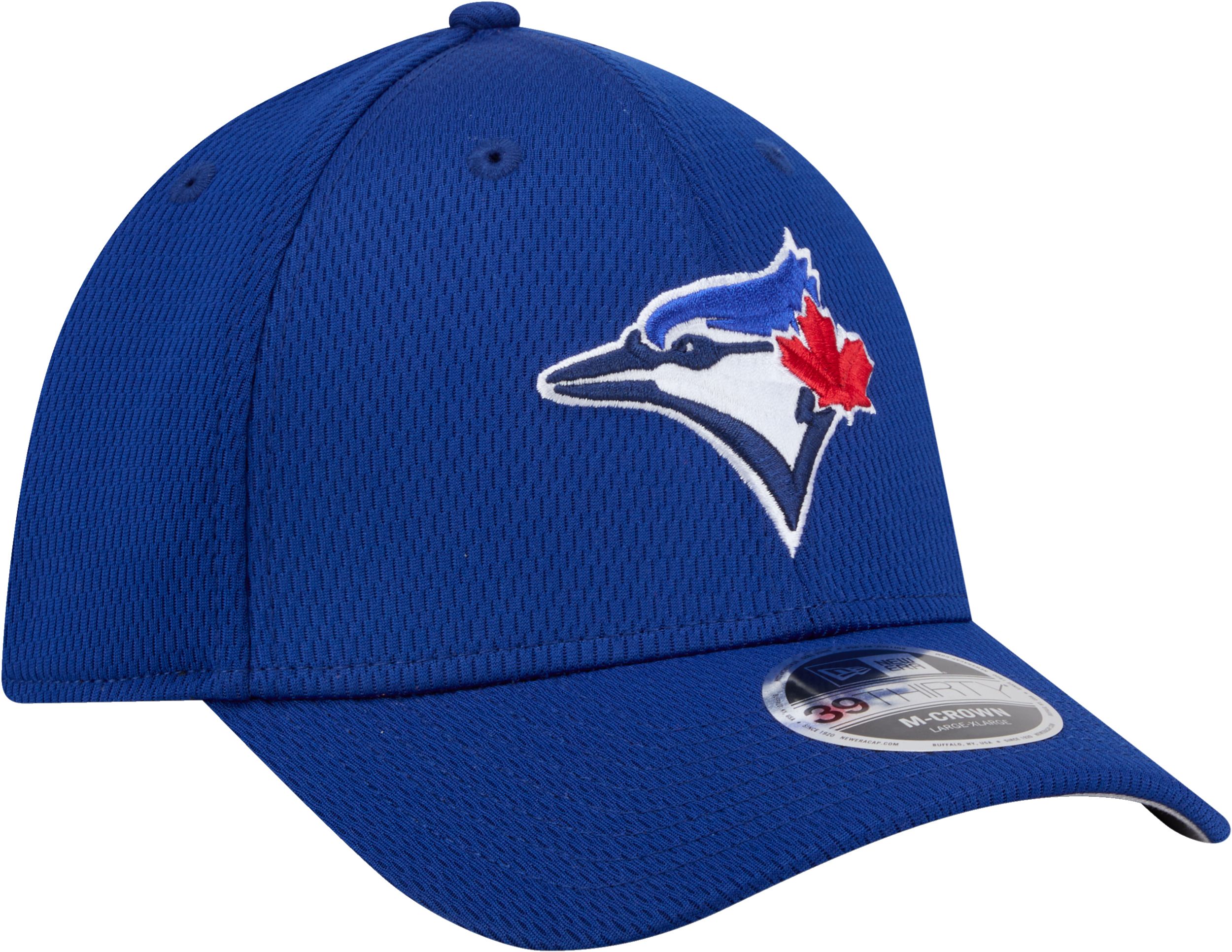 Toronto Blue Jays New Era Men's 39THIRTY Dashed Cap