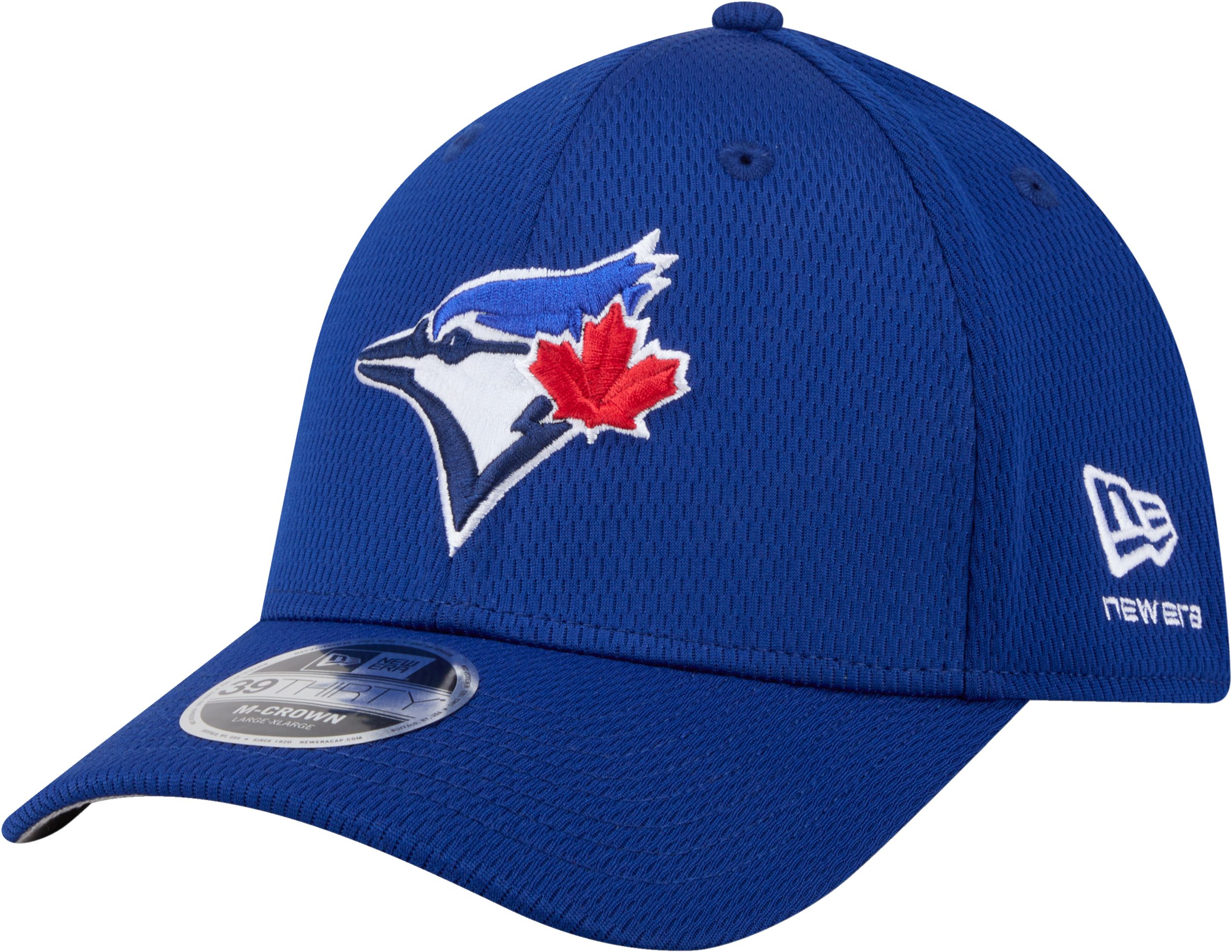 Toronto Blue Jays New Era Men's 39THIRTY Dashed Cap