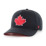 47 Brand Toronto Blue Jays Leaf Golden Age Adjustable Cap Front_Angled_Left