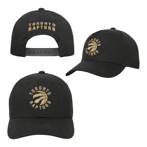 Toronto Raptors Youth Alt Basic Precurve Snapback Cap