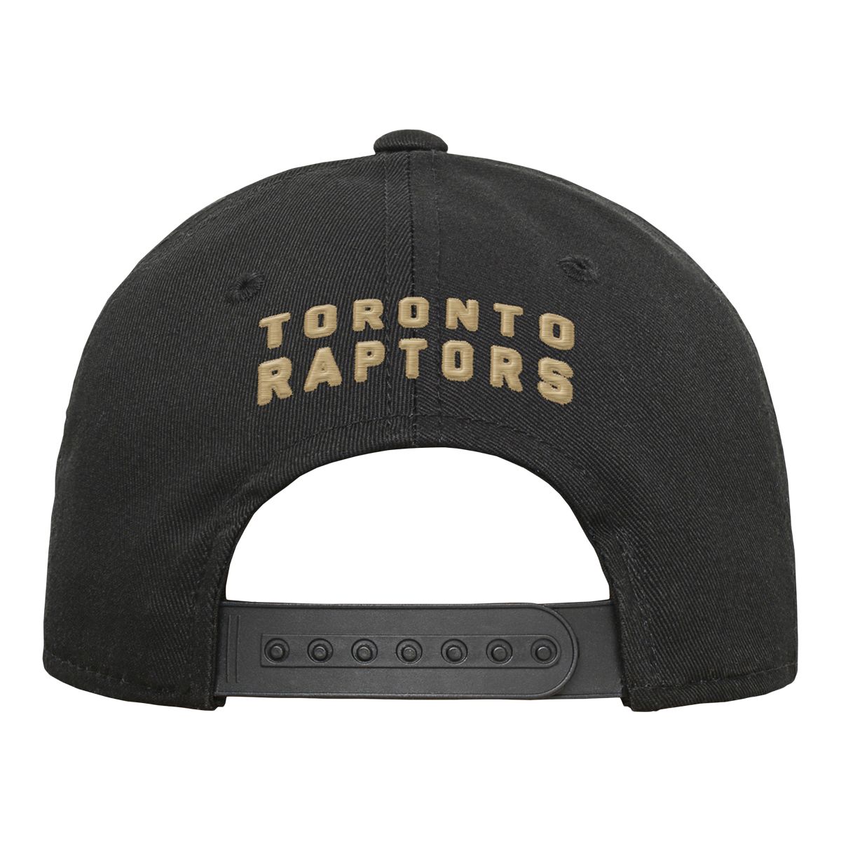 Toronto Raptors Youth Alt Basic Precurve Snapback Cap