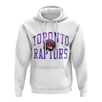Toronto Raptors Mitchell & Ness Playoffs Win Hoodie Front_Flat
