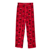 Toronto Raptors Toddler Nike Printed Pants Back_Flat