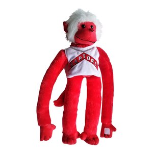 Toronto Raptors Forever Collectibles Jersey
